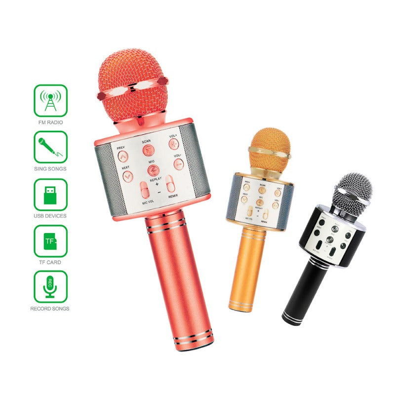 Microphone for Singing - DoorAndSteps E Commerce