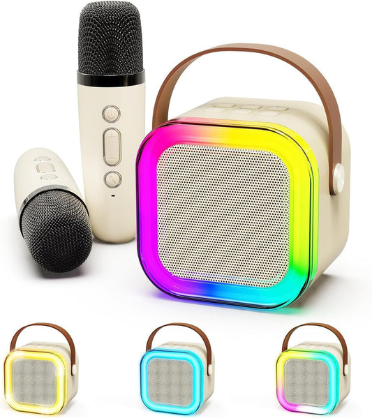 Portable Bluetooth Speaker with 2 Wireless Microphone - DoorAndSteps E Commerce 