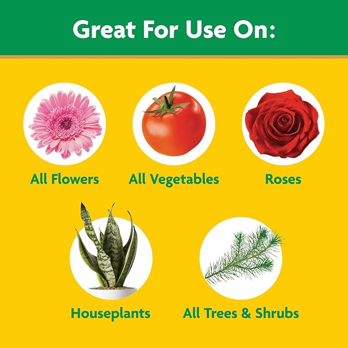 🌿 Miracle-Gro Water Soluble All Purpose Plant Food – 8 oz (226g) - DoorAndSteps E Commerce 