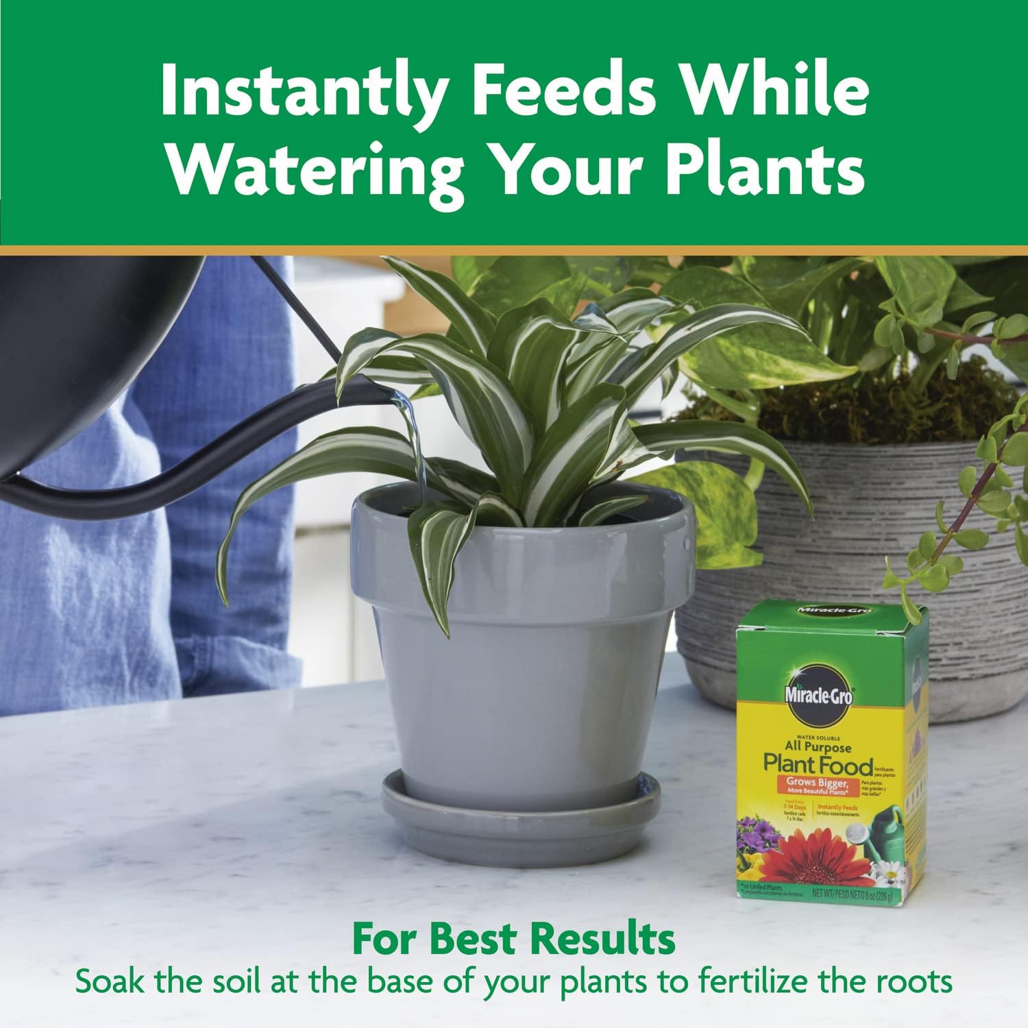 🌿 Miracle-Gro Water Soluble All Purpose Plant Food – 8 oz (226g) - DoorAndSteps E Commerce 