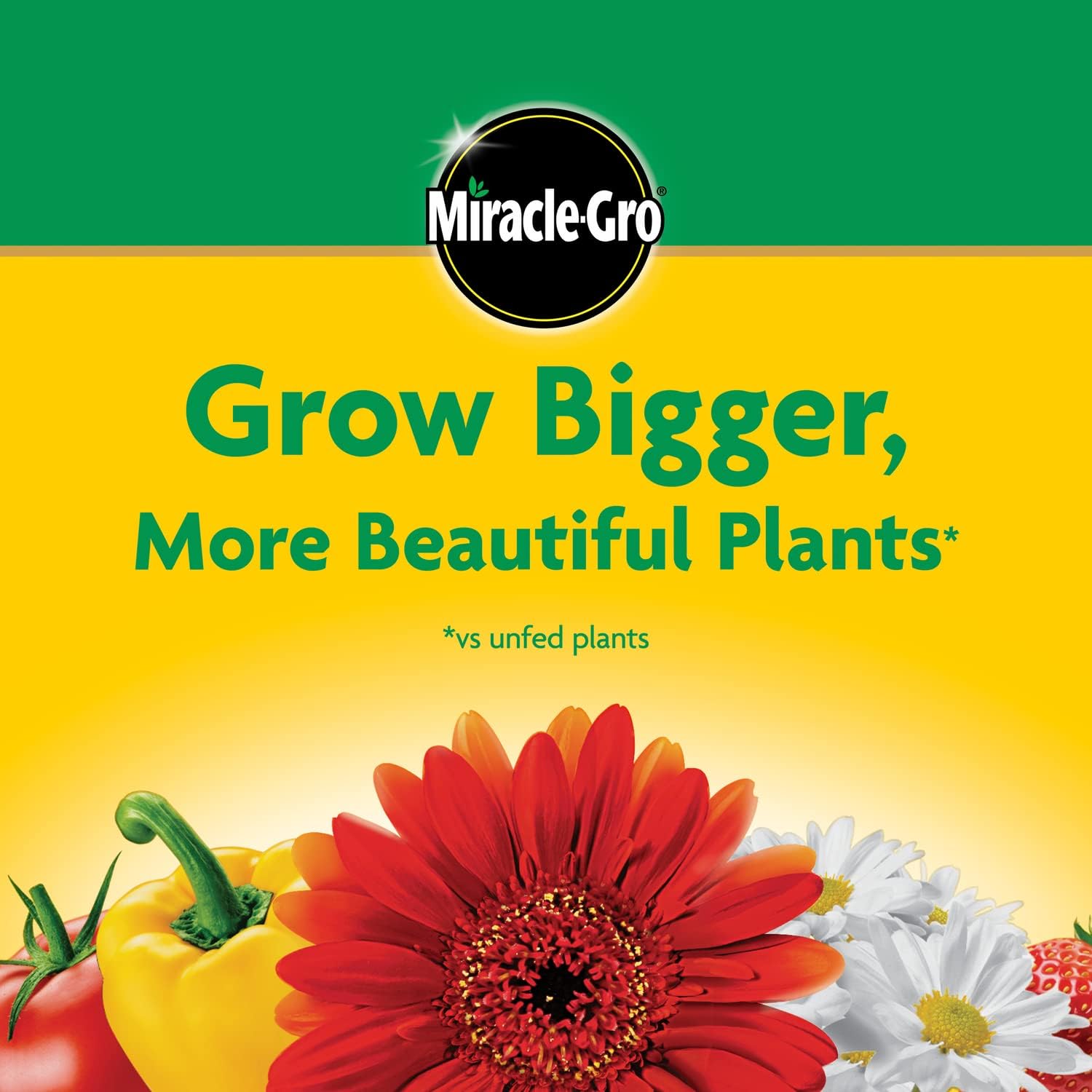 🌿 Miracle-Gro Water Soluble All Purpose Plant Food – 8 oz (226g) - DoorAndSteps E Commerce 